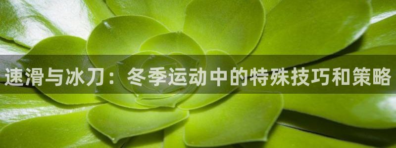 海南MK体育官网下载发展怎么样：速滑与冰刀：冬季运动