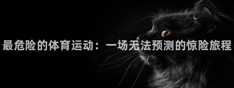 MK体育官方正版app娱乐首页官网下载：最危险的体育