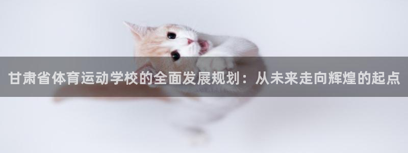 MK体育官方正版app娱乐首页网站大全：甘肃省体育运