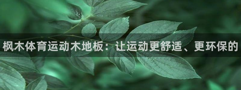 MK体育官方正版app五金厂：枫木体育运动木地板：让