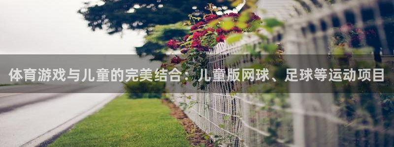 MK体育官网下载招商电话地址查询：体育游戏与儿童的完