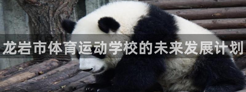 MK体育官方正版app五金厂：龙岩市体育运动学校的未