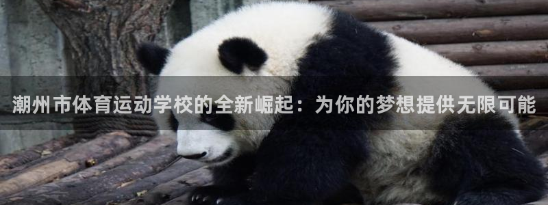 MK体育官网下载：潮州市体育运动学校的全新崛起：为你