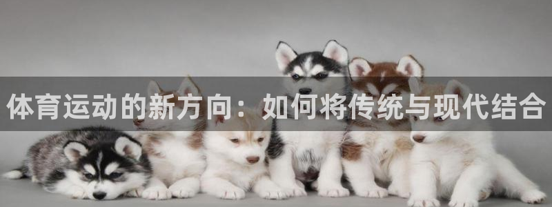 MK体育官网下载官方客服电话：体育运动的新方向：如何