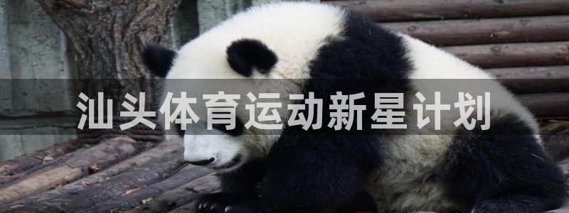 注册MK体育官方正版app：汕头体育运动新星计划