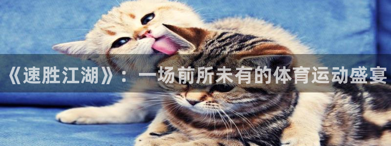 MK体育官方正版app娱乐网站：《速胜江湖》：一场前所未有的