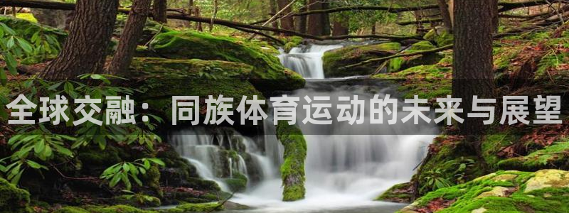 MK体育官网下载平台