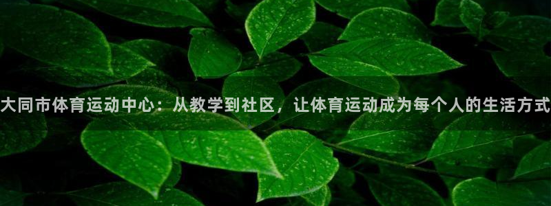 MK体育官网下载平台APP：大同市体育运动中心：从教学到社区