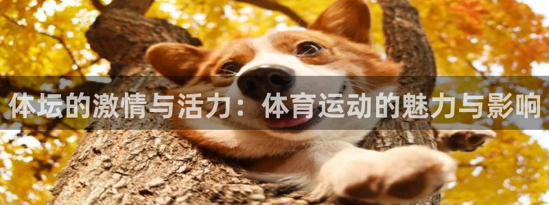 MK体育官方正版app官网：体坛的激情与活力：体育运动的魅力