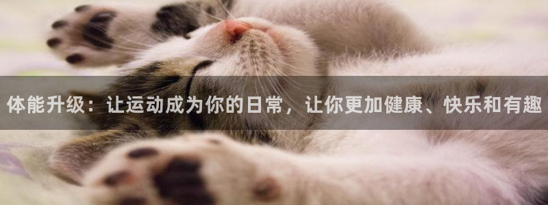 MK体育官网下载招商电话地址查询：体能升级：让运动成为你的日