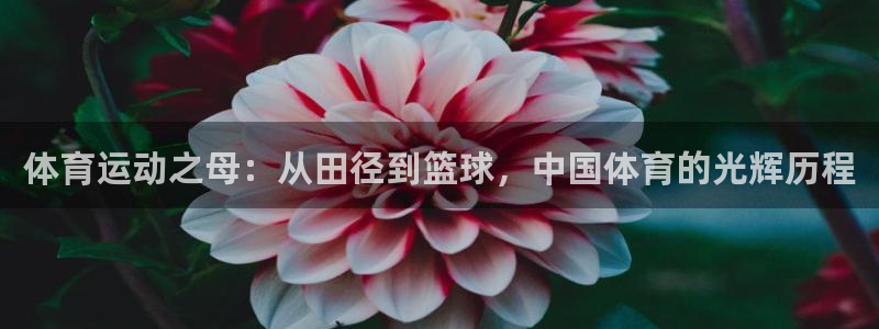 MK体育官方正版app官方：体育运动之母：从田径到篮