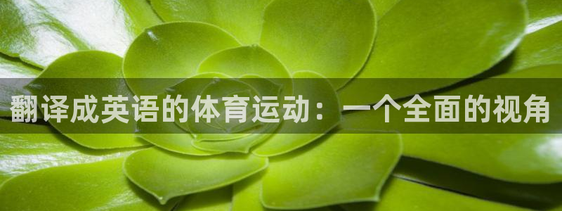 MK体育官方正版app娱乐首页官网下载：翻译成英语的体育运动
