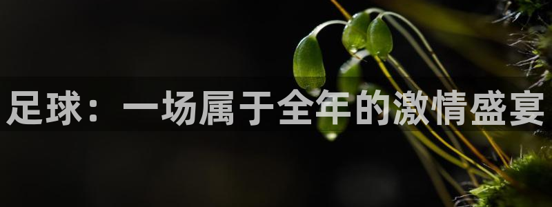 MK体育官网下载官方客服电话：足球：一场属于全年的激情盛宴