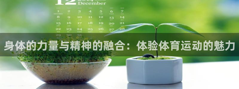 MK体育官方正版app集团：身体的力量与精神的融合：体验体育
