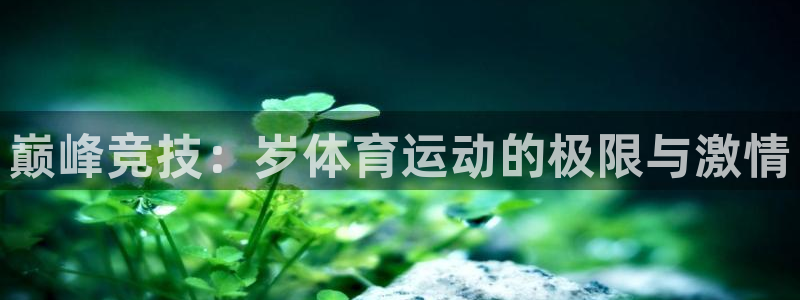 MK体育官方正版app代理：巅峰竞技：岁体育运动的极