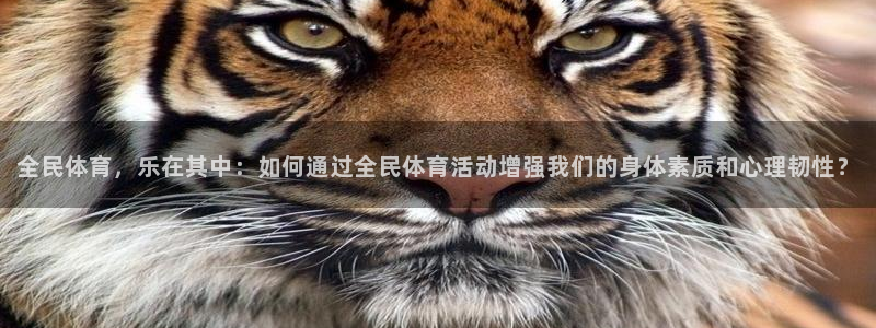MK体育官方正版app代理:全民体育,乐在其中:如何通过全民