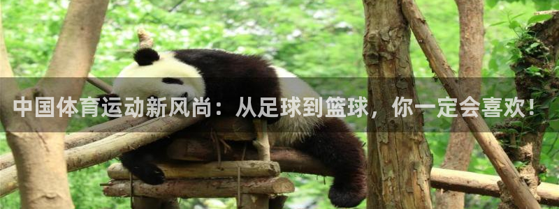 MK体育官网下载招商电话地址