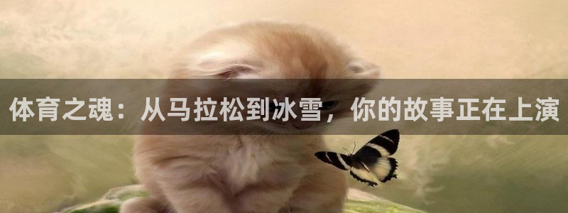 MK体育官网下载招商电话：体育之魂：从马拉松到冰雪，你的故事