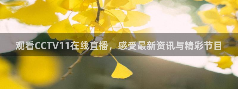 919nba直播篮球比赛：观看CCTV11在线直播，感受最新资讯与精彩节目
