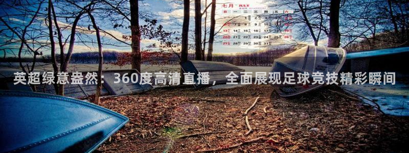 919直播看球 篮球比赛：英超绿意盎然：360度高清直播，全面展现足球竞技精彩瞬间