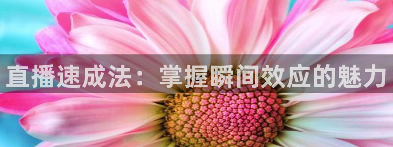 919看球直播app：直播速成法：掌握瞬间效应的魅力