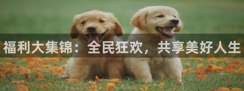 01zbtv直播体育919：福利大集锦：全民狂欢，共享美好人生