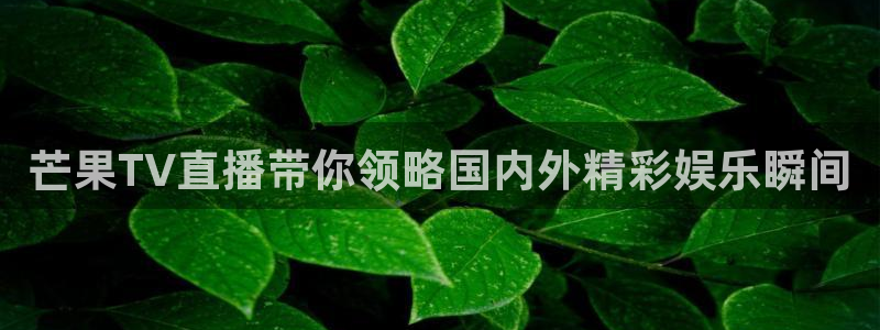 919直播间官网：芒果TV直播带你领略国内外精彩娱乐瞬间