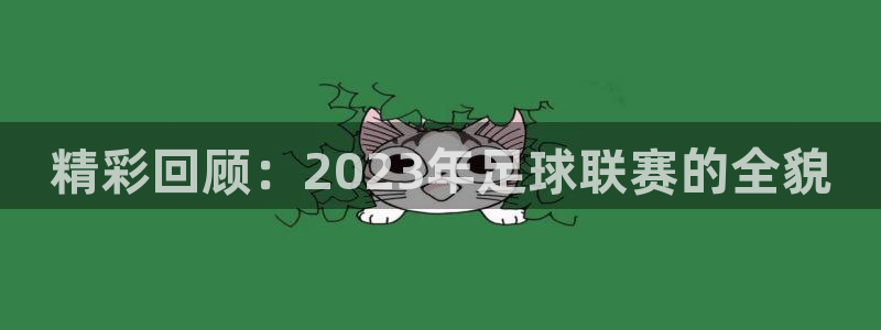 919直播看球在线观看：精彩回顾：2023年足球联赛的全貌