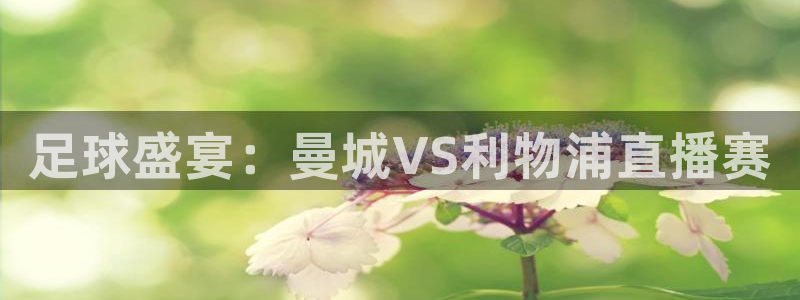 919体育直播间在线看：足球盛宴：曼城VS利物浦直播赛